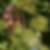 Profilbild von Siegfried John
