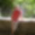 Profilbild von Volker Dressler