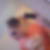 Profilbild von Pascal Heppke