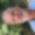 Profilbild von Peter Buderath