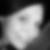 Profilbild von Eva Jendreck