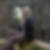 Profilbild von Birgit Baudisch