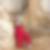Profilbild von Jost Preis