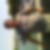 Profilbild von Karl Heinz Krust