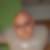 Profilbild von Rene Glaubert