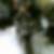 Profilbild von Denis Gracin