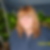 Profilbild von Ina Dönni