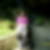 Profilbild von Silvia Littmann