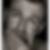 Profilbild von Peter Hähnel