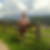 Profilbild von Andreas Wachtendonk