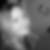 Profilbild von Marie Wiesensee