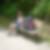 Profilbild von Kerstin Growe