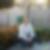 Profilbild von Nancy Schramm