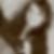 Profilbild von Eveline Tontsch