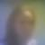 Profilbild von Stefanie Karstedt