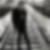 Profilbild von Peter Mitter
