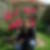 Profilbild von Astrid Frase