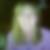 Profilbild von Elke Schramm