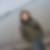 Profilbild von Andrea Staloch