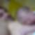 Profilbild von Andreas Pluschke