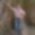 Profilbild von Reiner Joachim