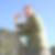Profilbild von Tomek Duchcik