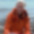 Profilbild von Renate Gosch