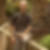 Profilbild von Jens Winter,Leupold