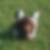 Profilbild von Ines Hemmen