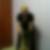 Profilbild von Anita Levinson