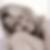 Profilbild von Sieglinde Rennack