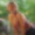 Profilbild von Brit Penack