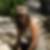 Profilbild von Yasemin Ermis