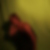 Profilbild von Liane Triebke