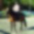Profilbild von Beate Rehag