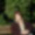 Profilbild von Heike Paule