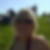 Profilbild von Franziska Bieler