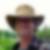 Profilbild von Michael Fischer
