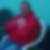 Profilbild von Maik Hanke