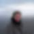 Profilbild von Kathrin Albrecht