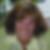 Profilbild von Ulrike Mitterer