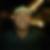 Profilbild von Torsten Fink