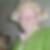 Profilbild von Carsten Schildwächter