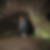 Profilbild von Harald Usbeck