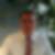 Profilbild von Holger Mundry