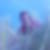 Profilbild von Nicole Formeseyn