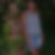 Profilbild von Diana Sommer
