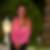 Profilbild von Silke Ritter