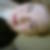 Profilbild von Jessica Fechte