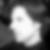 Profilbild von Michael Haas